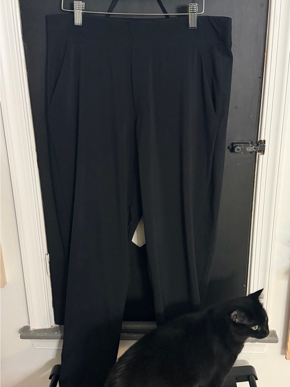 Athleta Brooklyn Black Mid Rise Ankle Pant (cat not for sale :)